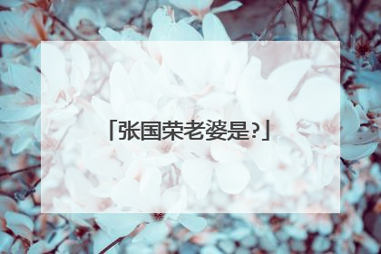 张国荣老婆是?