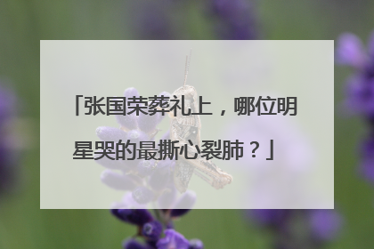 张国荣葬礼上,哪位明星哭的最撕心裂肺?