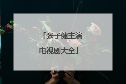 张子健主演电视剧大全