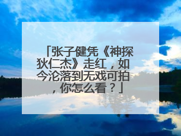 张子健凭《神探狄仁杰》走红,如今沦落到无戏可拍,你怎么看?