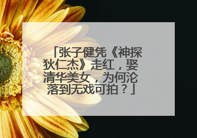 张子健凭《神探狄仁杰》走红,娶清华美女,为何沦落到无戏可拍?