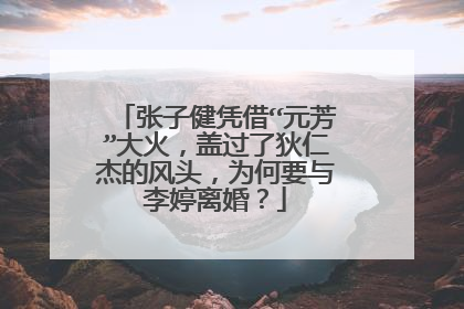 张子健凭借“元芳”大火，盖过了狄仁杰的风头，为何要与李婷离婚？