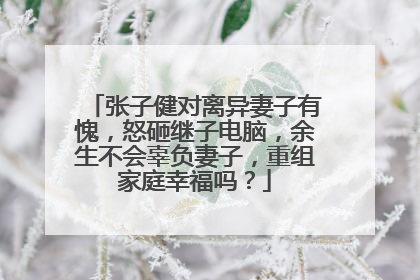 张子健对离异妻子有愧,怒砸继子电脑,余生不会辜负妻子,重组家庭幸福吗?