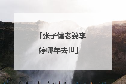 张子健老婆李婷哪年去世