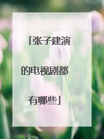 张子建演的电视剧都有哪些