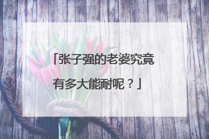 张子强的老婆究竟有多大能耐呢?