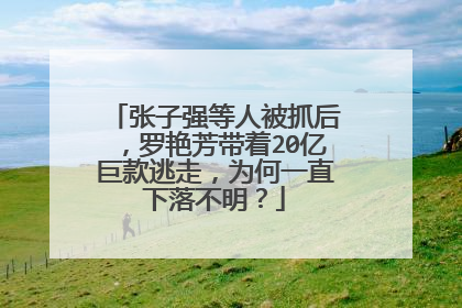 张子强等人被抓后，罗艳芳带着20亿巨款逃走，为何一直下落不明？