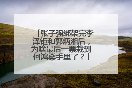 张子强绑架完李泽钜和郭炳湘后,为啥最后一票栽到何鸿燊手里了?