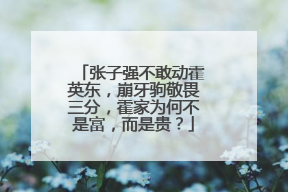 张子强不敢动霍英东，崩牙驹敬畏三分，霍家为何不是富，而是贵？