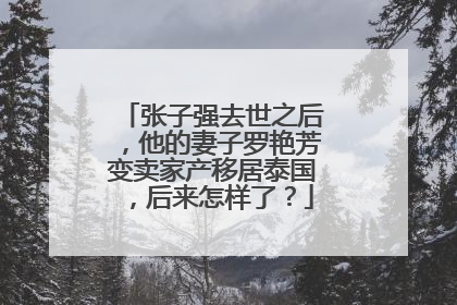 张子强去世之后,他的妻子罗艳芳变卖家产移居泰国,后来怎样了?