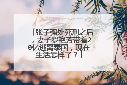 张子强处死刑之后，妻子罗艳芳带着20亿逃离泰国，现在生活怎样了？