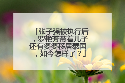 张子强被执行后，罗艳芳带着儿子还有婆婆移居泰国，如今怎样了？