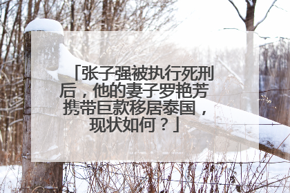 张子强被执行死刑后，他的妻子罗艳芳携带巨款移居泰国，现状如何？