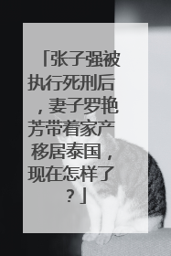 张子强被执行死刑后,妻子罗艳芳带着家产移居泰国,现在怎样了?