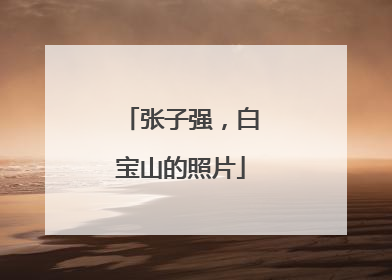 张子强，白宝山的照片
