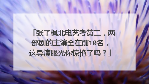 张子枫北电艺考第三，两部剧的主演全在前10名，这导演眼光你惊艳了吗？