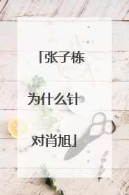 张子栋为什么针对肖旭