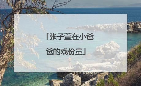 张子萱在小爸爸的戏份量