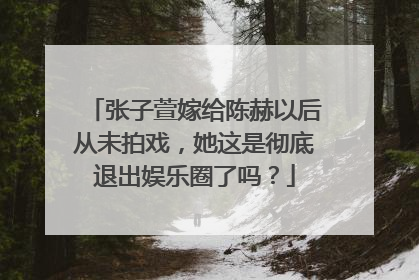 张子萱嫁给陈赫以后从未拍戏，她这是彻底退出娱乐圈了吗？