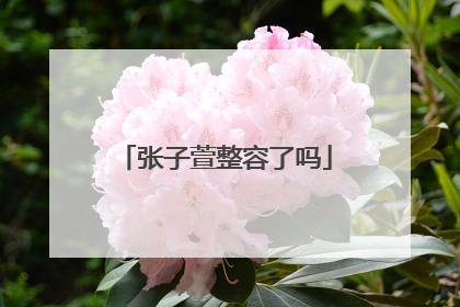 张子萱整容了吗