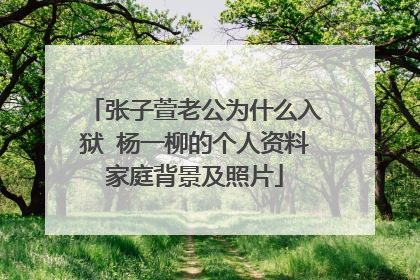 张子萱老公为什么入狱 杨一柳的个人资料家庭背景及照片