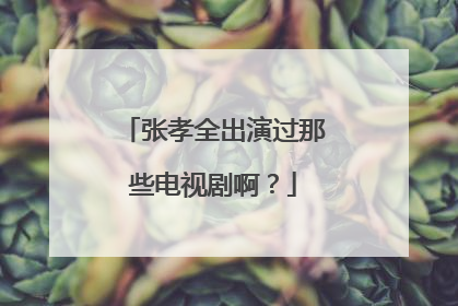 张孝全出演过那些电视剧啊？