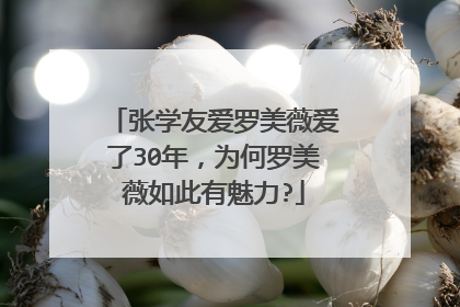 张学友爱罗美薇爱了30年，为何罗美薇如此有魅力?