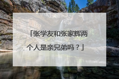 张学友和张家辉两个人是亲兄弟吗?