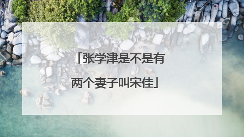 张学津是不是有两个妻子叫宋佳