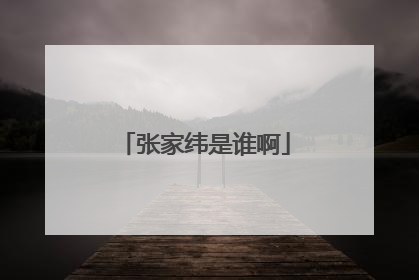 张家纬是谁啊
