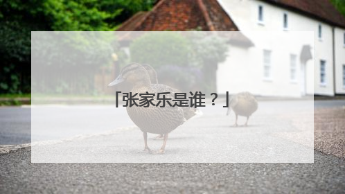 张家乐是谁？