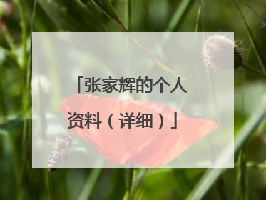 张家辉的个人资料(详细)