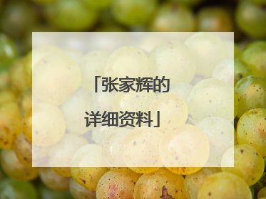 张家辉的详细资料