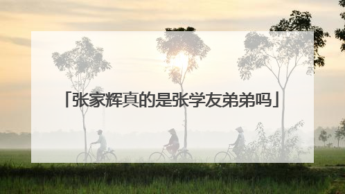 张家辉真的是张学友弟弟吗