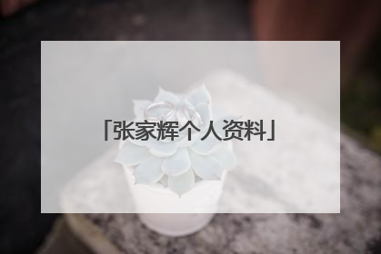 张家辉个人资料