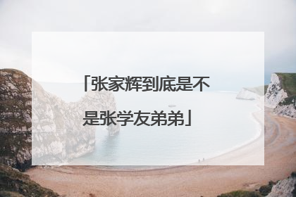 张家辉到底是不是张学友弟弟