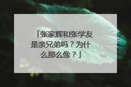 张家辉和张学友是亲兄弟吗?为什么那么像?