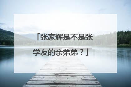 张家辉是不是张学友的亲弟弟？
