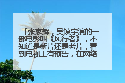 张家辉，吴镇宇演的一部电影叫《风行者》，不知道是新片还是老片，看到电视上有预告，在网络上却搜索不到