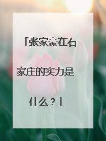 张家豪在石家庄的实力是什么?
