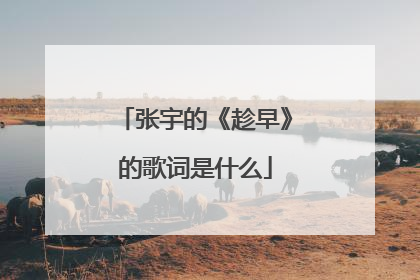 张宇的《趁早》的歌词是什么