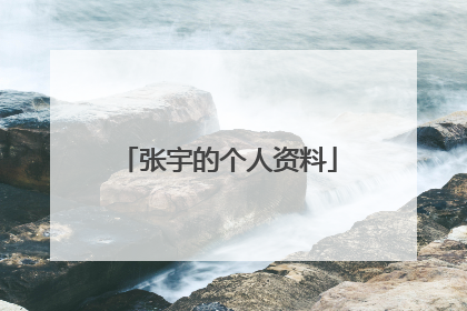 张宇的个人资料