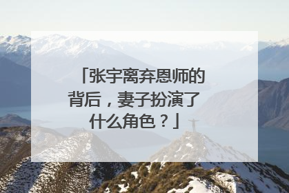 张宇离弃恩师的背后，妻子扮演了什么角色？