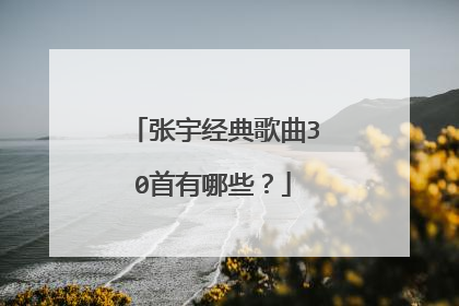 张宇经典歌曲30首有哪些?