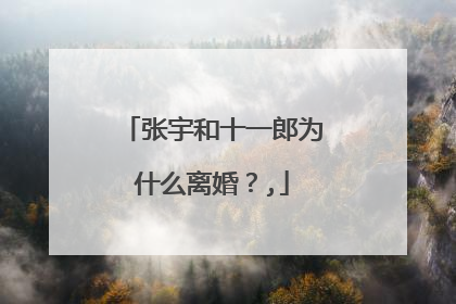 张宇和十一郎为什么离婚？,