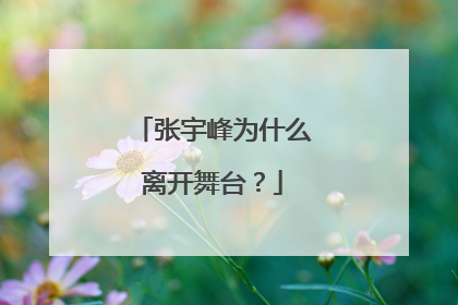 张宇峰为什么离开舞台？