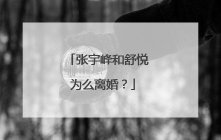 张宇峰和舒悦为么离婚?