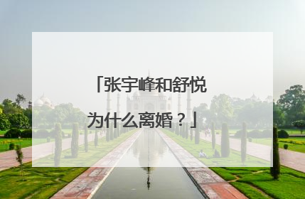张宇峰和舒悦为什么离婚?