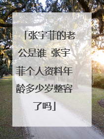 张宇菲的老公是谁 张宇菲个人资料年龄多少岁整容了吗