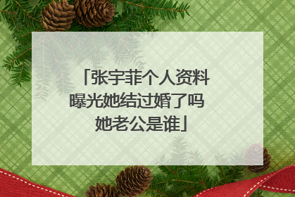 张宇菲个人资料曝光她结过婚了吗 她老公是谁